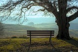 A simple wooden bench beneath a broad tree overlooking gently rolling hills at sunrise, symbolizing the abundance found in stillness, spaciousness, and a slower way of living.