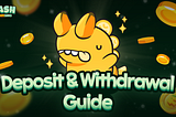 Deposit & Withdrawal Guide