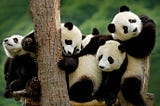 Most Important Pandas Methods You Should Know as a Data Scientist