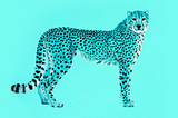 Helmut Koller’s Colorful Animal Kingdom