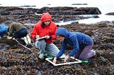 Twelve Years, a Generation of Student Researchers, and a Detailed Record of the California Coast