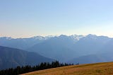 The Hurricane Ridge Saga