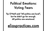 Political Emotions: Voting Fears