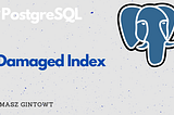 How I Check If a PostgreSQL Index Is Damaged