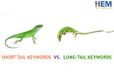 Short tail keywords vs.