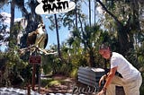 an osprey, an alligator and a woman in a florida park setting as the woman kneels down to pet the giant alligator and the osprey is screaming, “She’s Crazy!”