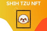 Why You Should Get Excited With SHIH-TZU!
