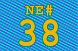 NE #38: Du Idiot