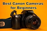 Best Canon Cameras for Beginners