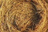 Finding needle in a haystack