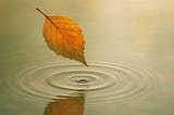 A single golden-brown leaf hovers just above the surface of a still pond, creating gentle ripples in the water. The soft, earthy background evokes a calm, meditative mood.