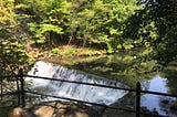 Waterfalls and Bear Dens in ‘Da Bronx’