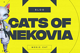 Cats of Nekovia: Medic Cat
