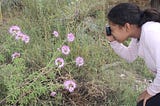 Nature Photography: A New Way to See Our World