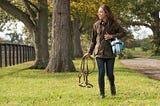 Autumn Chills: Preparing for Autumn Respiratory Health Issues in Horses