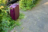 How an Unattended Suitcase Predicts the Fate of Our World