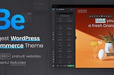 10+ Best WordPress Themes for 2023