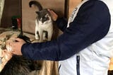Вершим благо с компанией ГК Альянс Краснодар!