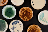 Superbugs: combatendo o dilúvio de resistência antimicrobiana