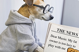 Picture of a dog, wearing glasses, typing on a computer. There is a newspaper that says, “dear Maxie, my fat owner is too lazy to play with me.”