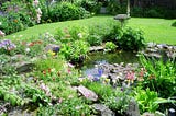 19 Backyard Wildflower Garden Ideas: Embrace Nature’s Beauty