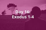 Day 16: Exodus 1–4