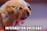 A puppy holding its paws over its ears and scrunching its face with the words “information overload” across the bottom