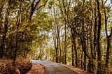 Carta al exilio de quiénes habitan bosques