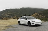 Tesla: Why Innovate When You Can Imitate?