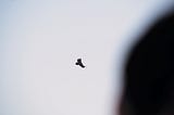 Of Cultures and Carrion: Tibetan Sky Burials and the Death of a Nation