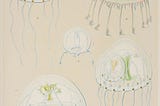 The jellyfish knows how to survive uncertain times