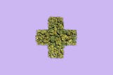 Cannabis as Medicine: A New Frontier in Health and Healing