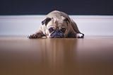 You are not alone