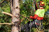 tree pruning