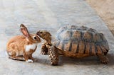 The Tortoise and the Hare — a Sequel