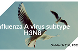Latest Updates on China’s Third Human Case of H3N8 Bird Flu Virus and How to Protect Yourself