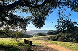 Petaluma: A Visitor’s Guide