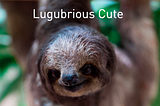 Lugubrious Cute