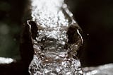 gutter with rain water