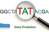 Deep learning for gene prediction in metagenomics fragments.
