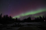 The Northern Lights glowing green above dark fir trees, with stars showing above a frozen lake.