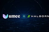 Проект UMEE объявил о партнерстве с Halborn Security