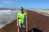 Sargassum Seaweed Might Not Be a Problem But a Solution