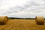 Hay field with hay bales