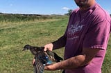 Biologist holds a wood duck