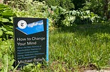 Review: How To Change Your Mind