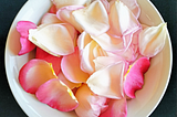 Close-up of white bowl holding rose petals ranging from cream to deep pink.
