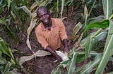 Sentinel- AgroCenta’s COVID-19 App for Smallholder Farmers