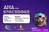 AMA RECAP : CRYPTOSTALKERS x SPACEDOGE