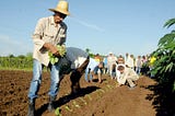 Una ley en favor del campesinado